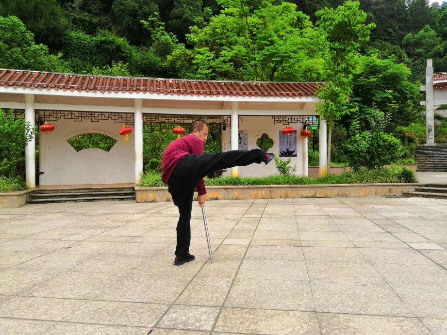 温习一遍陈氏太极鞭杆太极短棍46式