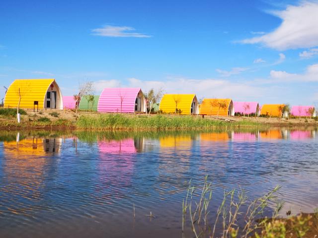 大漠胡杨林,《胡杨女人》取景地,秋日私语沧桑之婀娜